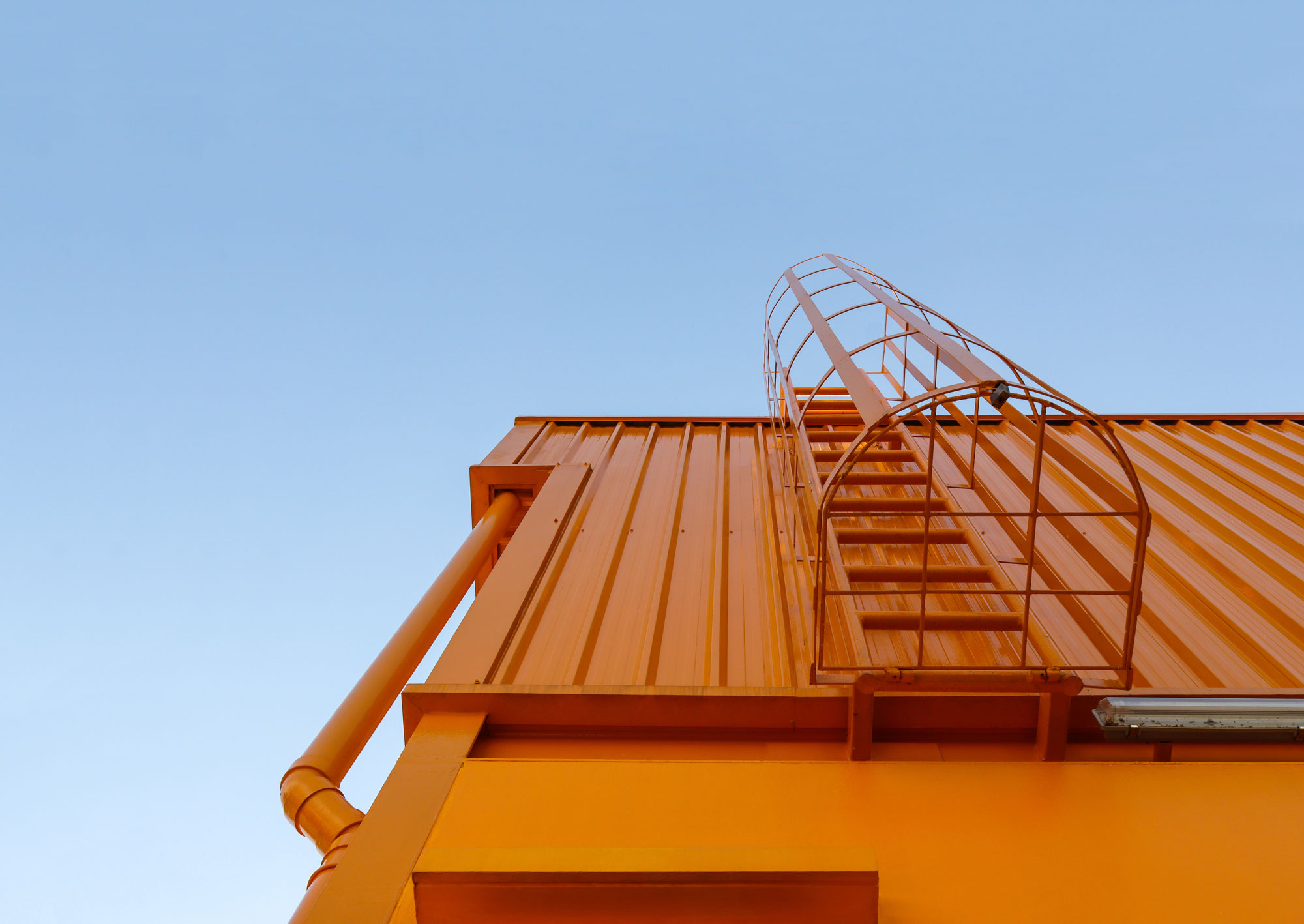 Cat Ladders 